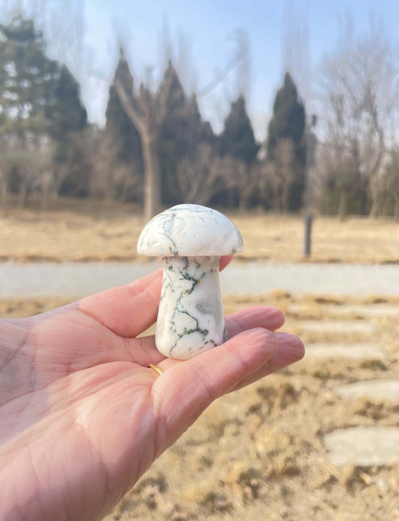 Dendritic Agate stone worry stone