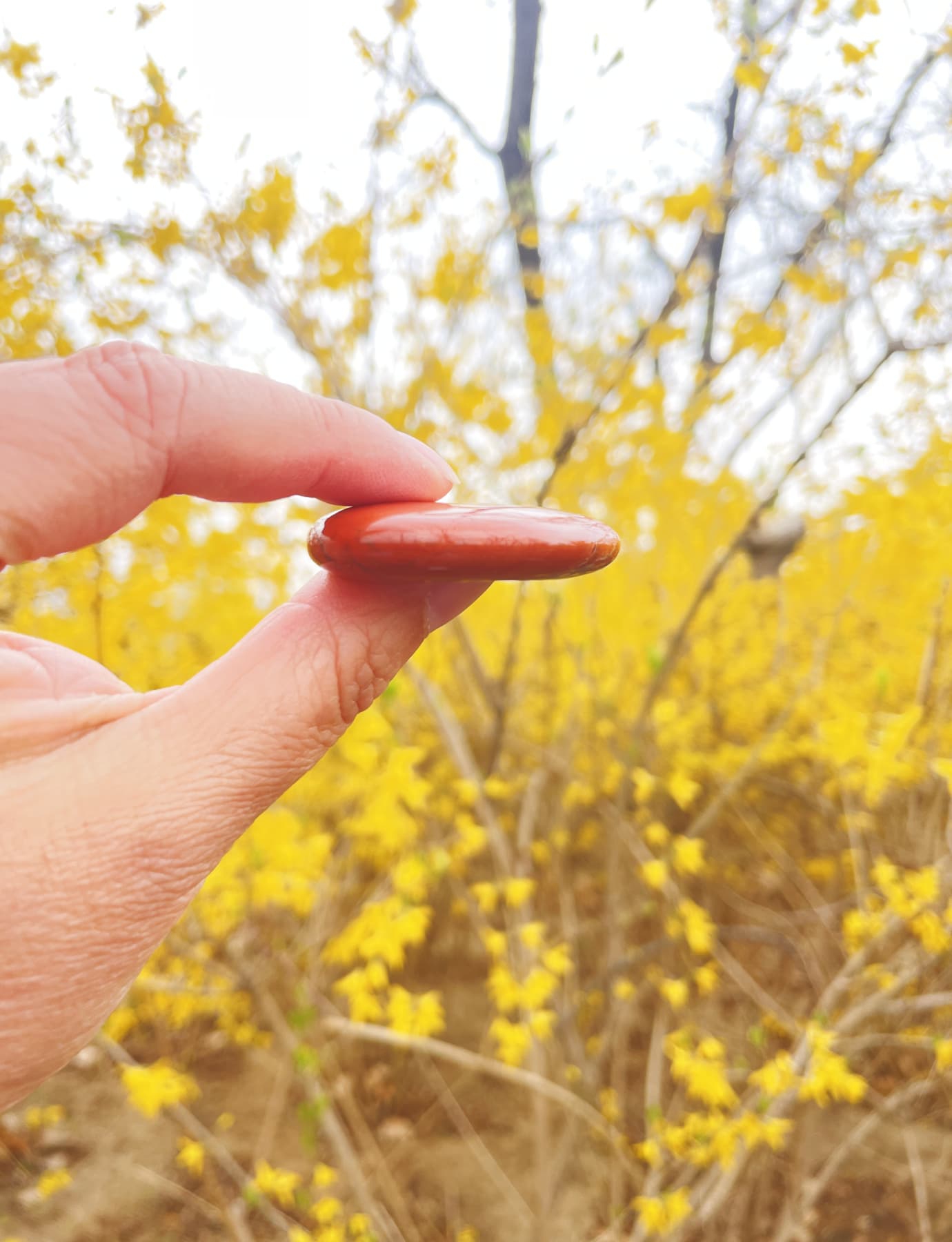 Red Jasper Heart Stone