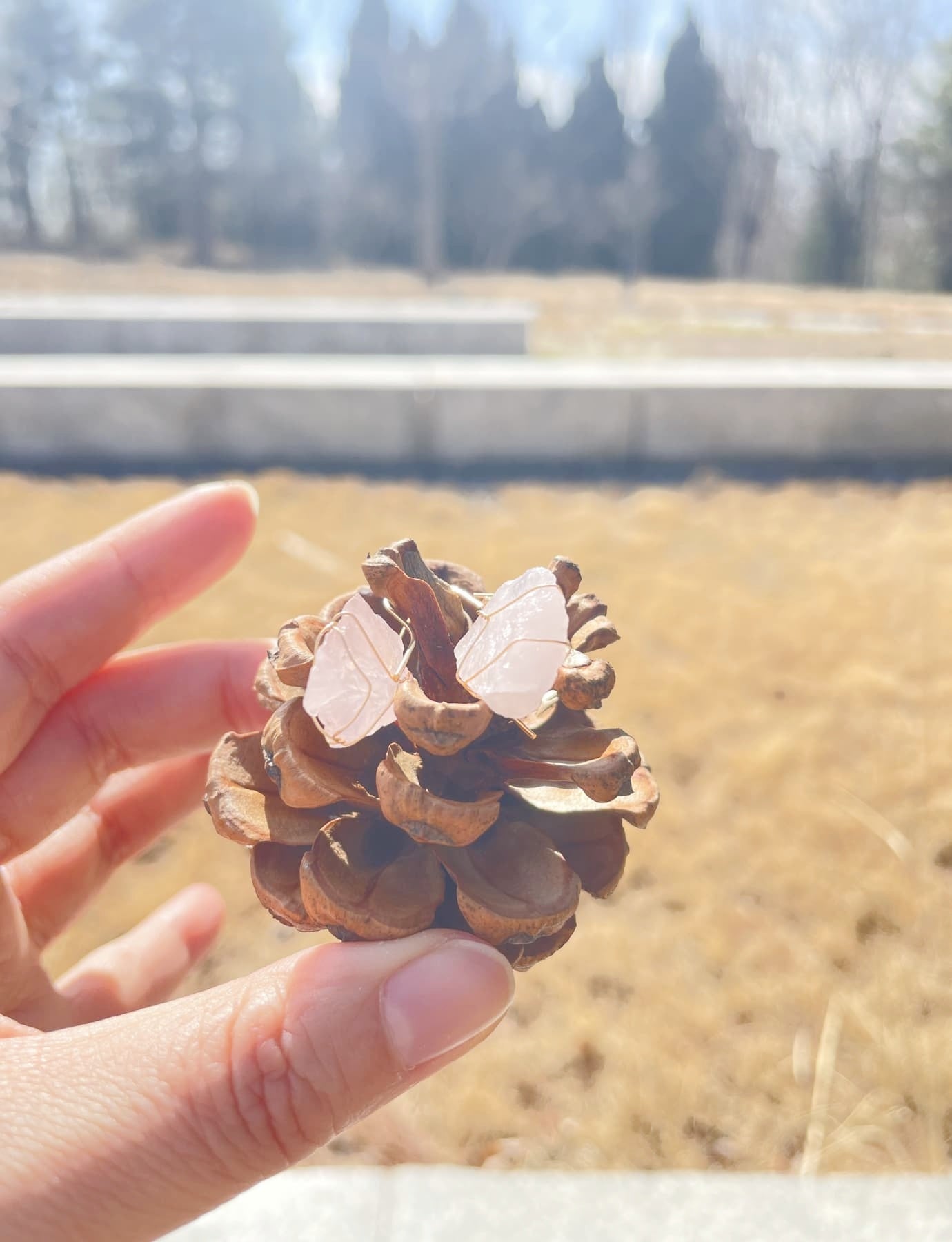 Rose Quartz gemstone Earrings