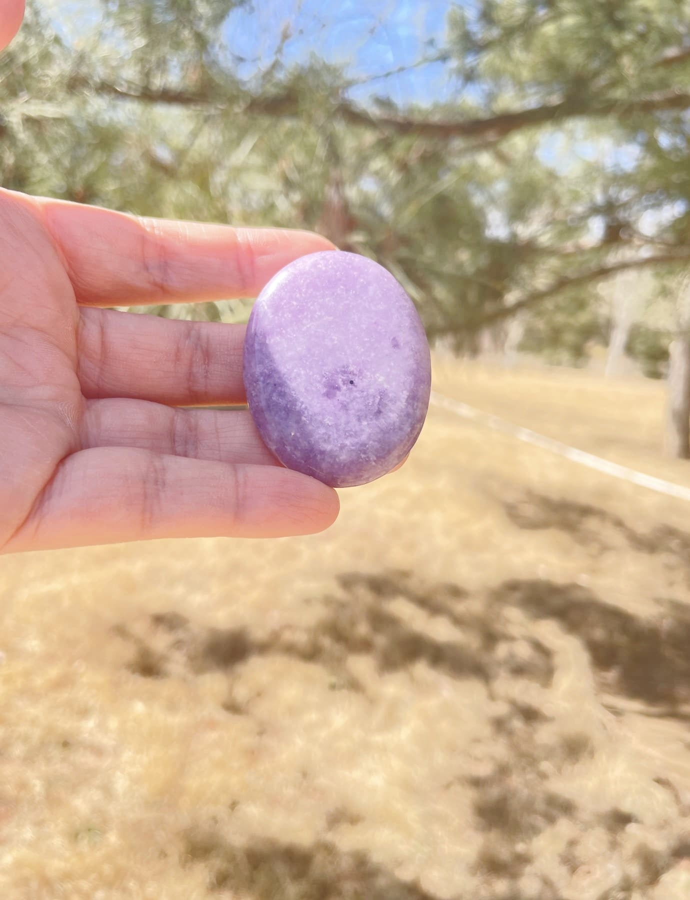 real Lepidolite Worry Stone