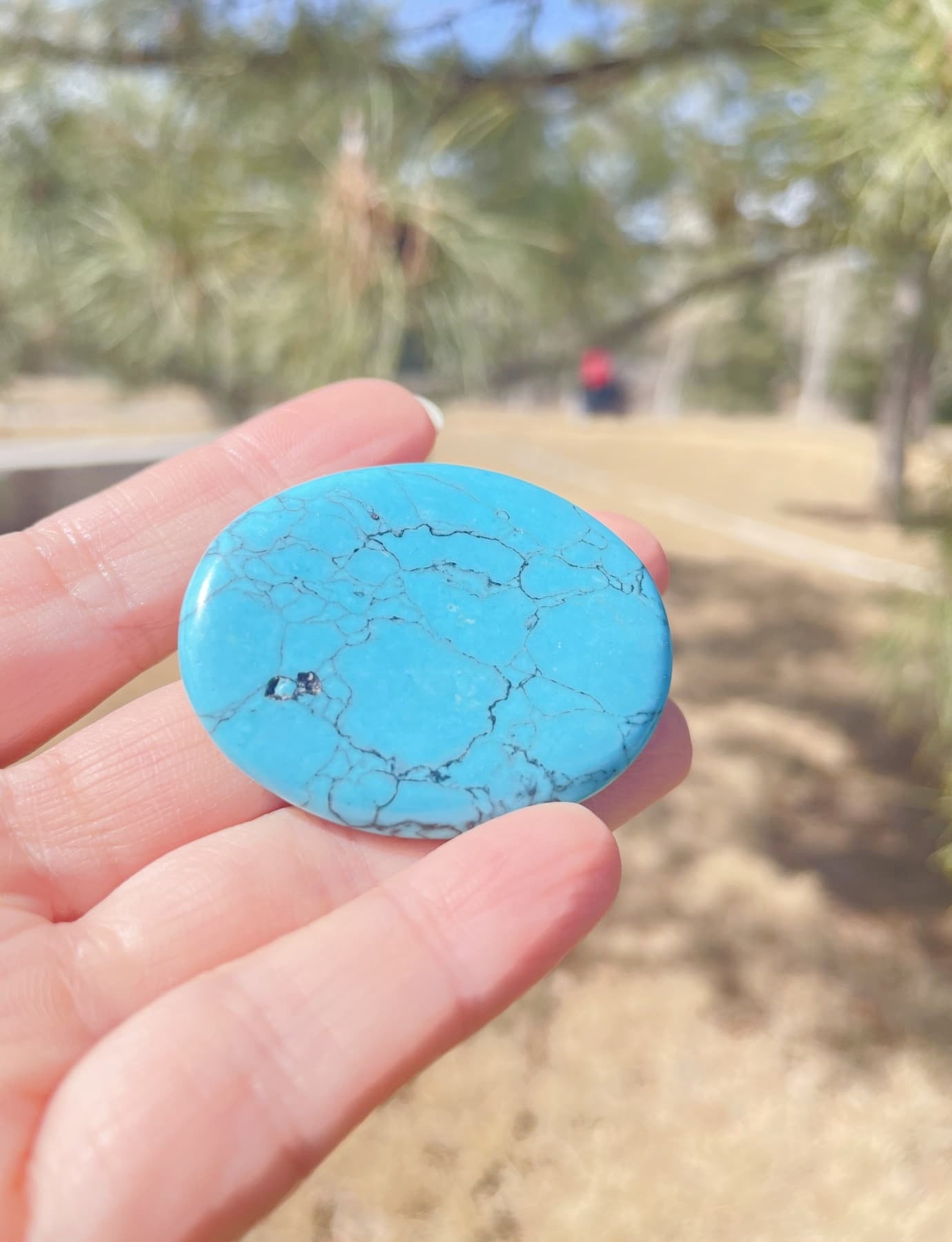 real Turquoise Worry Stone