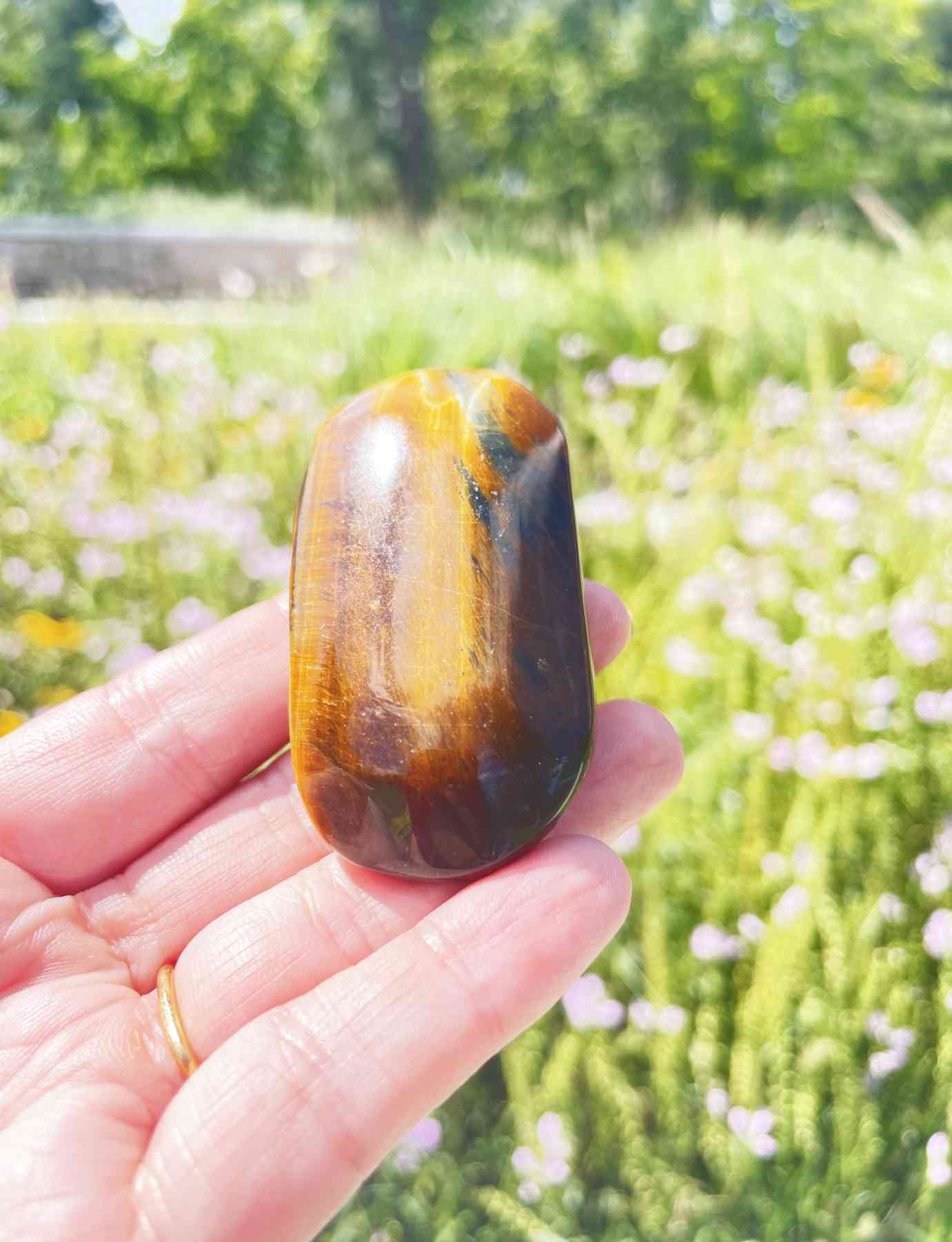 Tiger Eye Palm Stone