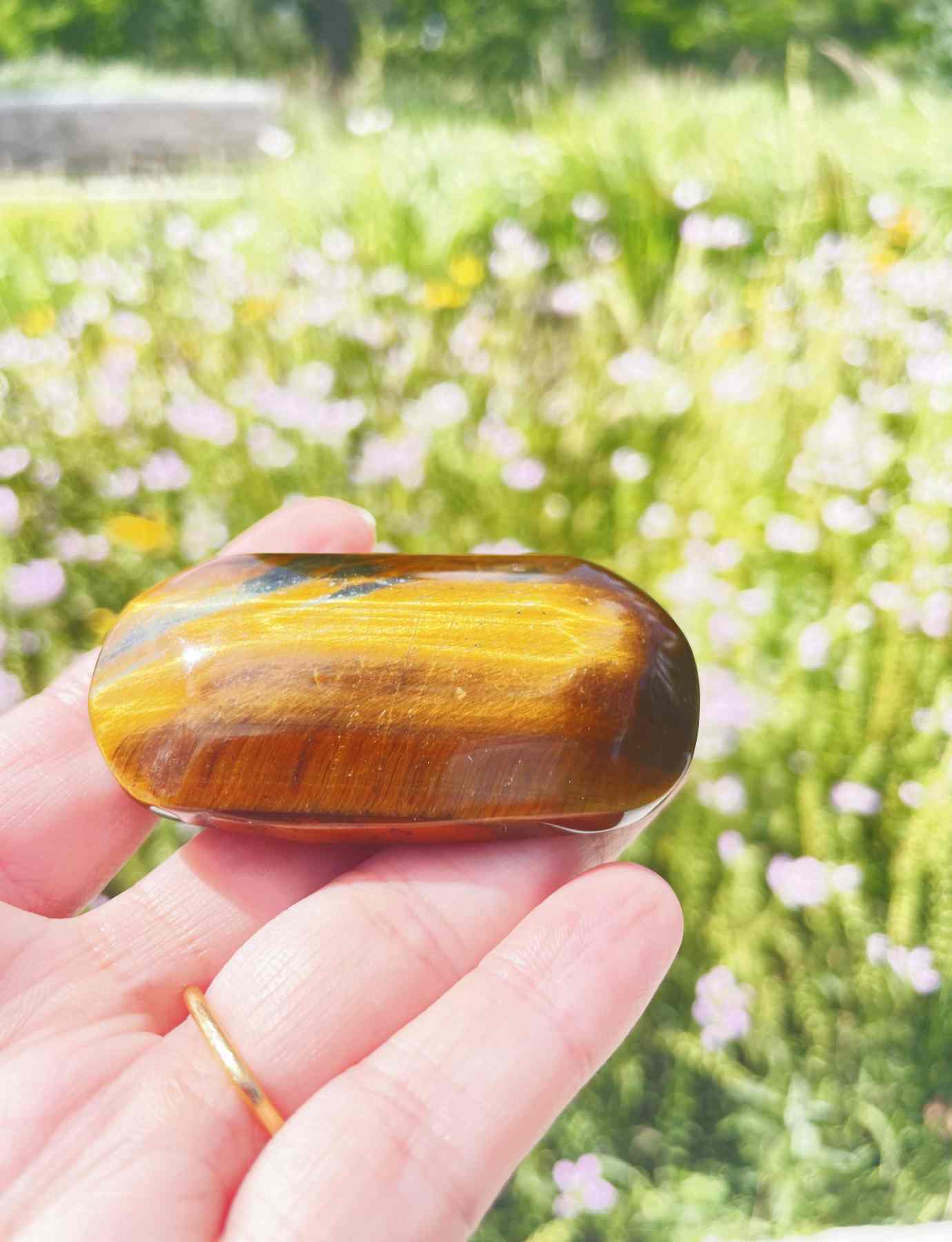 Tiger Eye Palm Stone