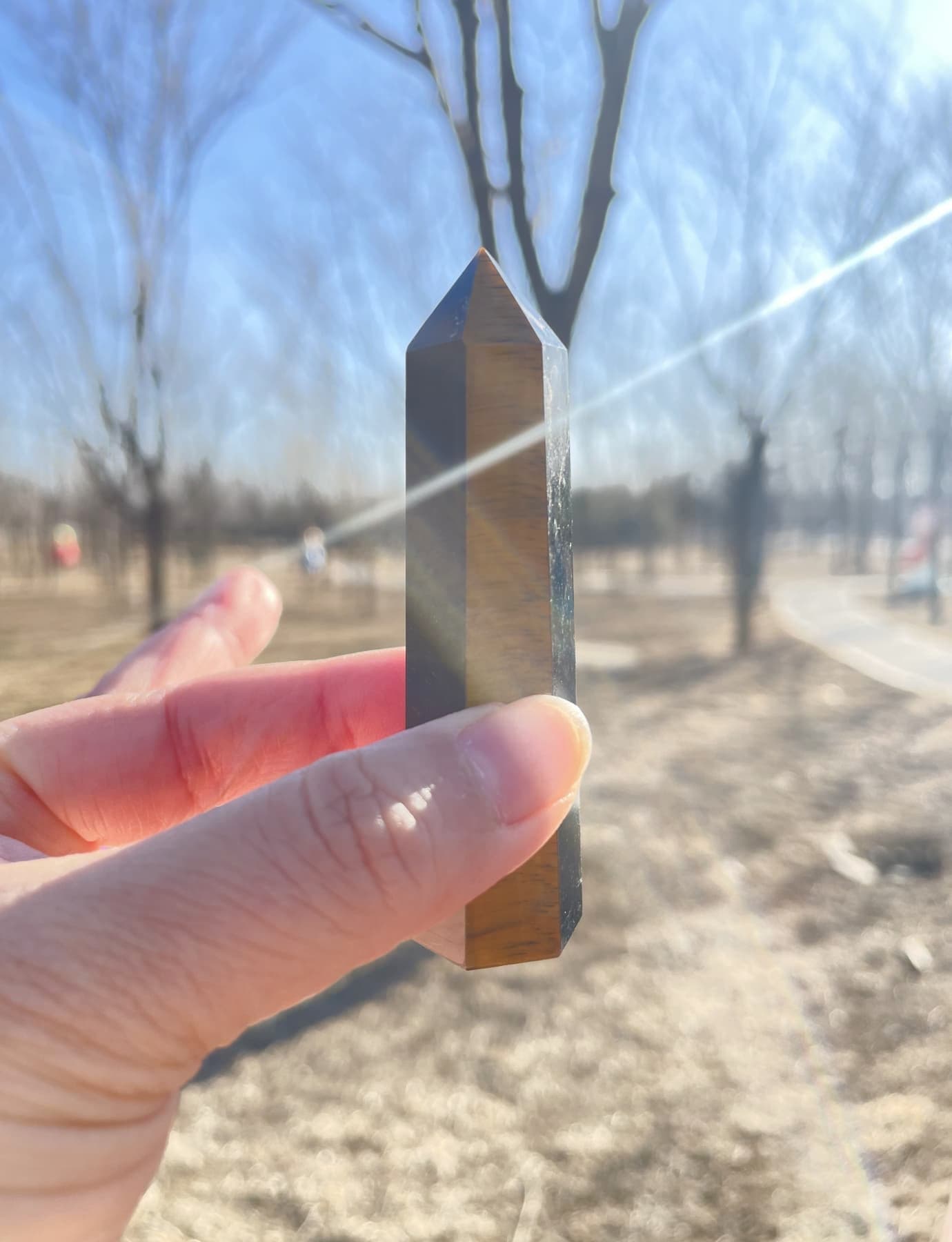 Tigers Eye Point