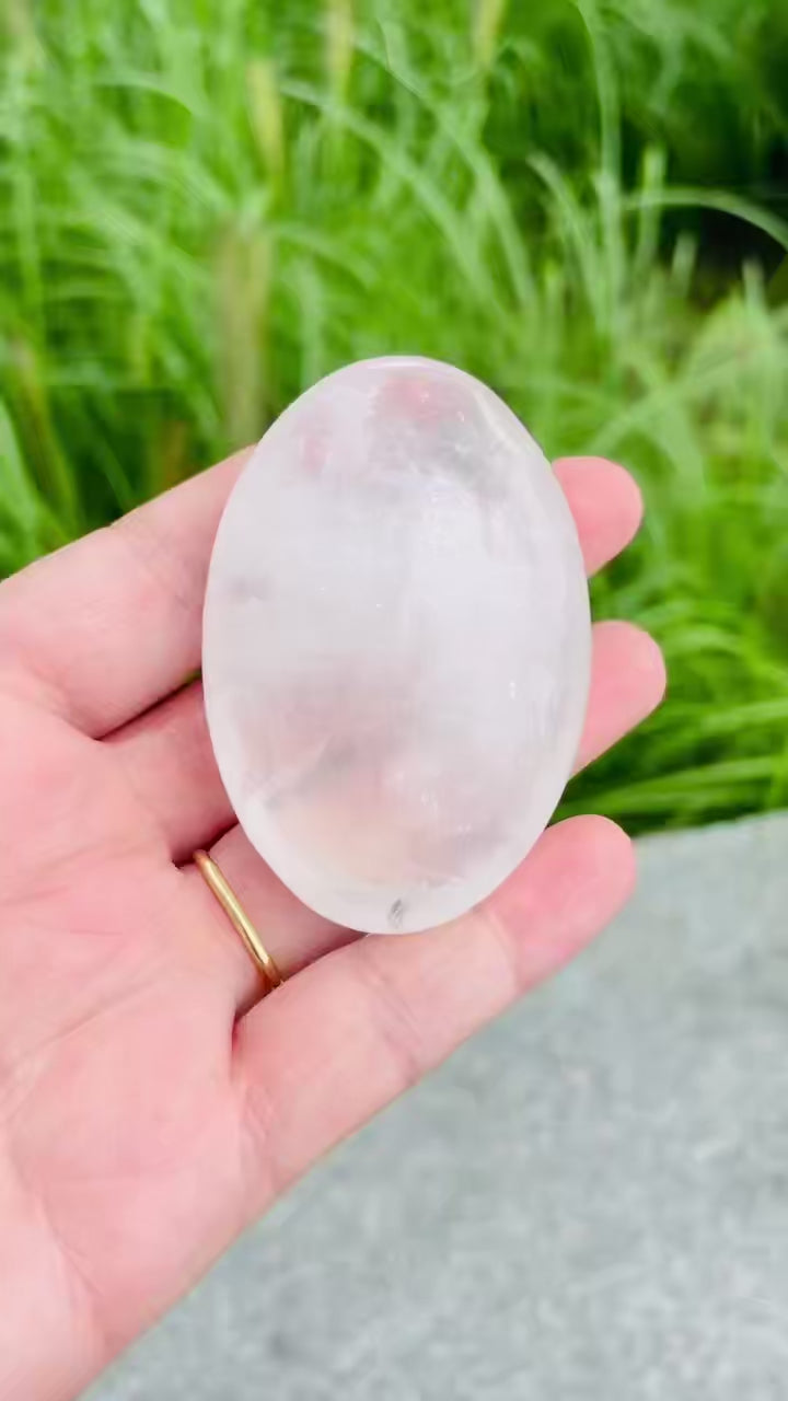 
White crystal palm video
