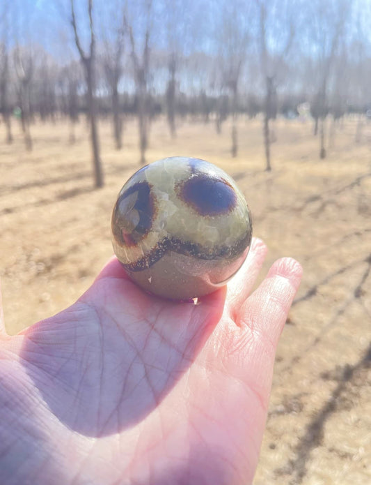 raw Septarian stone gemstone