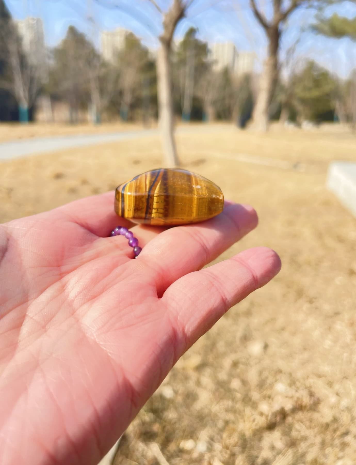 real tigers eye heart stone